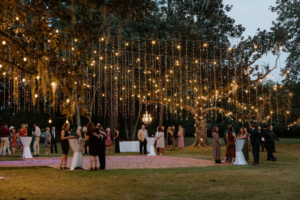 wedding reception draping fairy lights